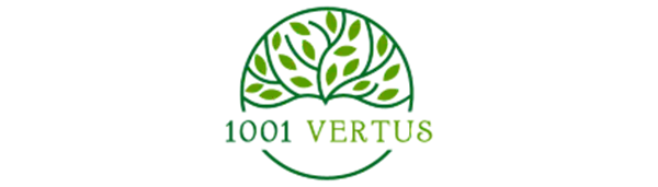 1001 Vertus